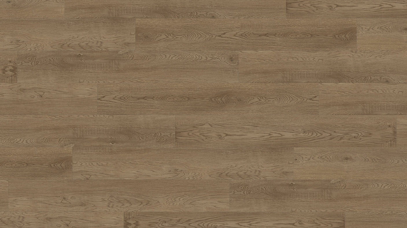 MS-005 — Dark Oak, aferd