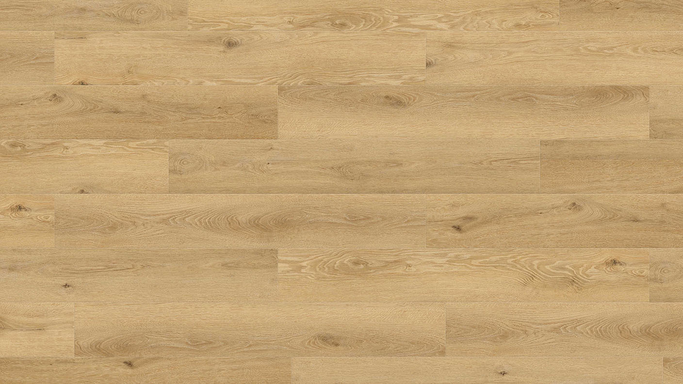 MS-008 — Golden Oak, aferd