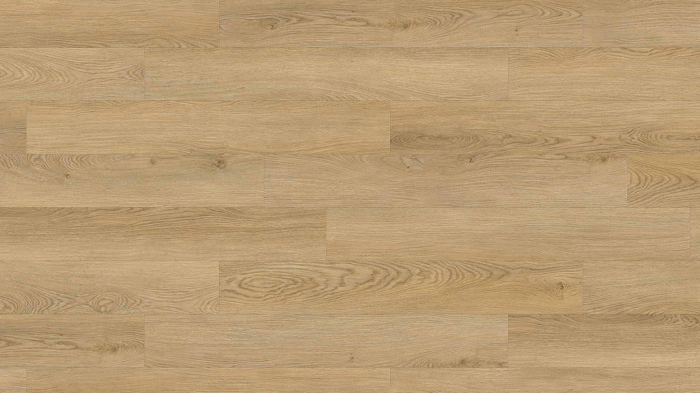MS-010 — Sessile Oak, aferd