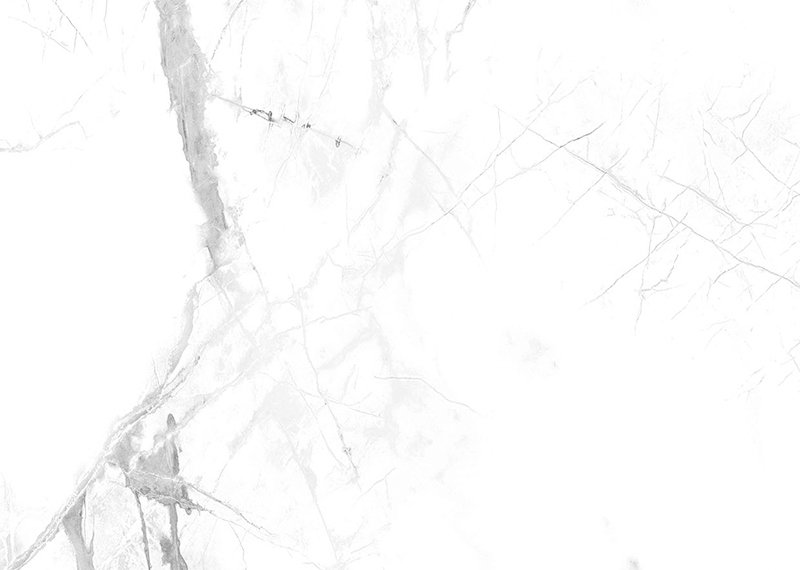 Calacatta snj&oacute;r &mdash; SPC veggplata