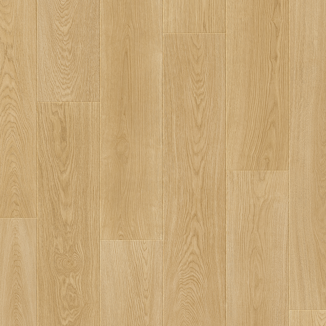 Supra &mdash; Eik Ilex