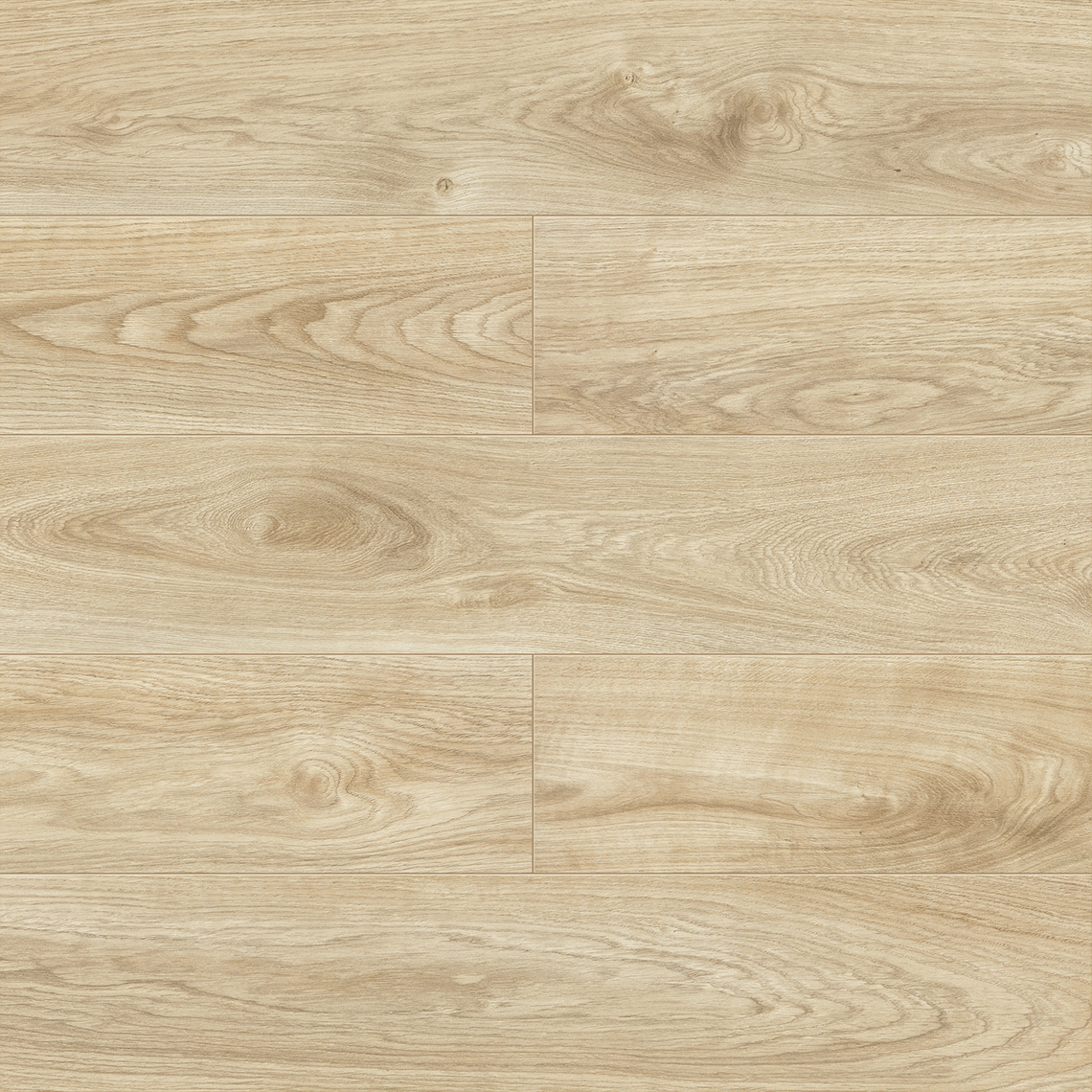 Balance Plus &mdash; Eik Latte