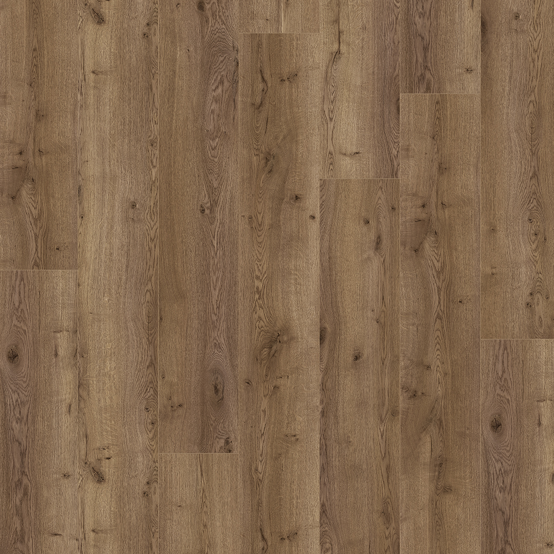 Magna &mdash; Eik Albero